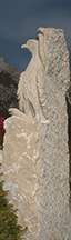 Schlangenadler