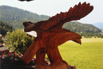 Steinadler